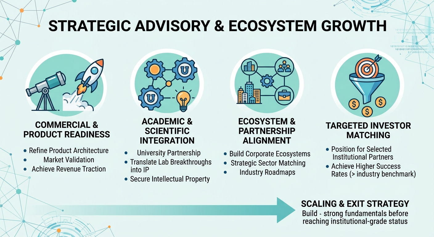 Strategic Advisory Beyond Traditional Venture Capital for Scale-Ups and Research Spin-Outs Slovakia